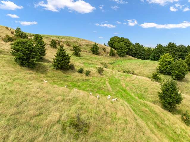 Hayward Road Maungakaramea_4