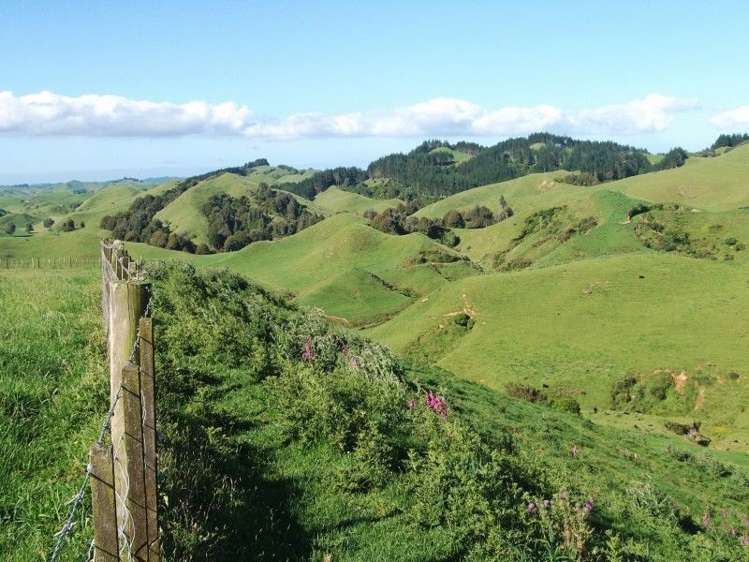 446 Stanley Road Te Popo_48