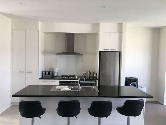 27 Lemon Tree Lane Flat Bush_1