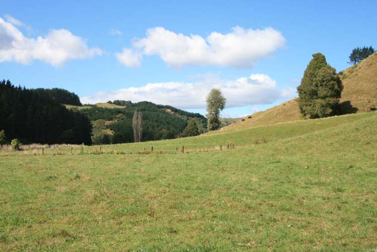 698 Mangaoapa Road Matau_18