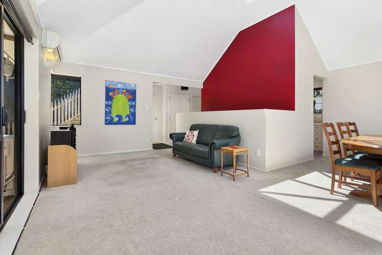 48 Tio Tio Road Miramar_2