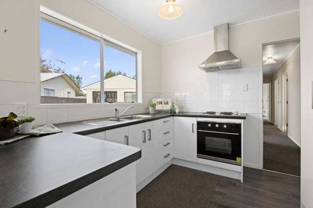 25 Grenville Street Levin_3