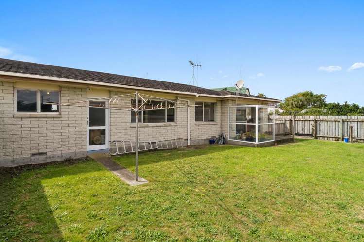 18b Tudor Place Mount Maunganui_4