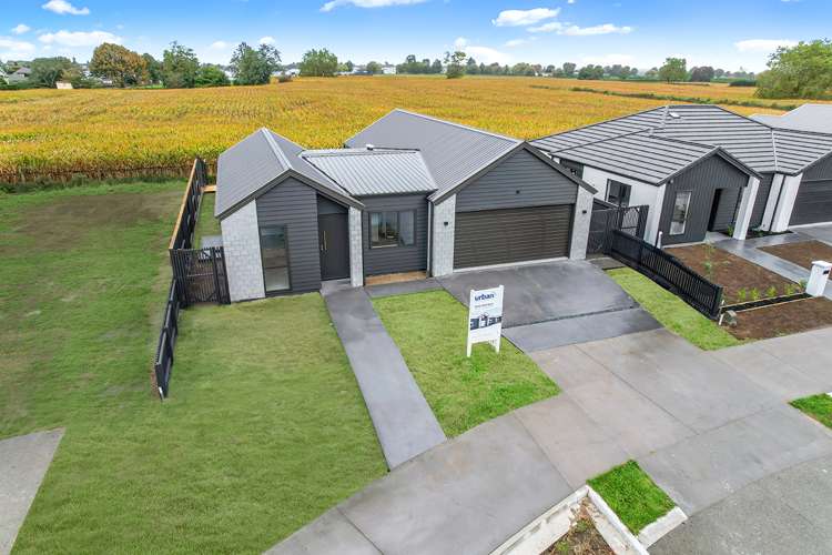 39 Rangitihi Street Matamata_17