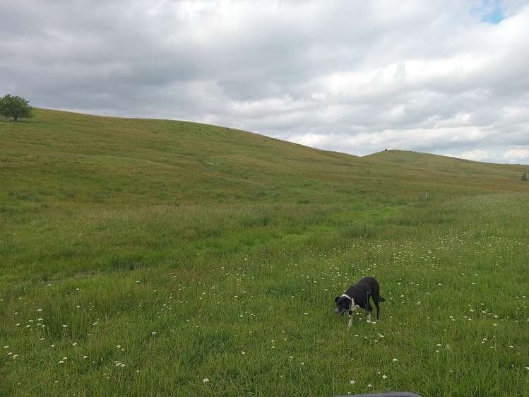 Lot 2 & 3/36 Te Moho Road Taipa_10