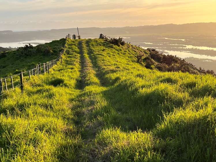 1469 Tuakau Bridge-Port Waikato Road Tuakau_11