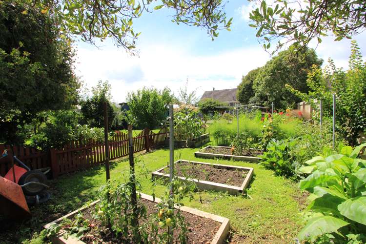 13 Girling Avenue Mayfield_14