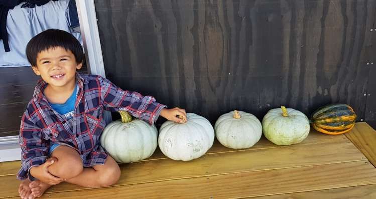 572a Pahi Road Paparoa_19