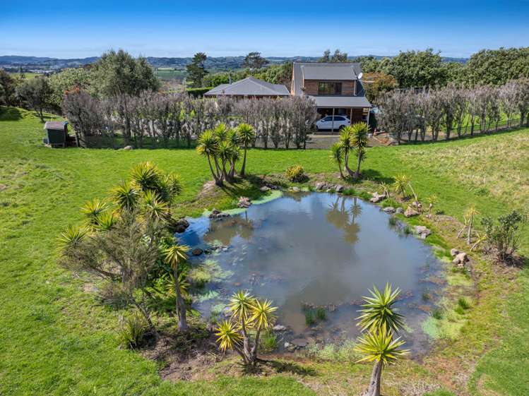 515 Fordyce Road Helensville_32