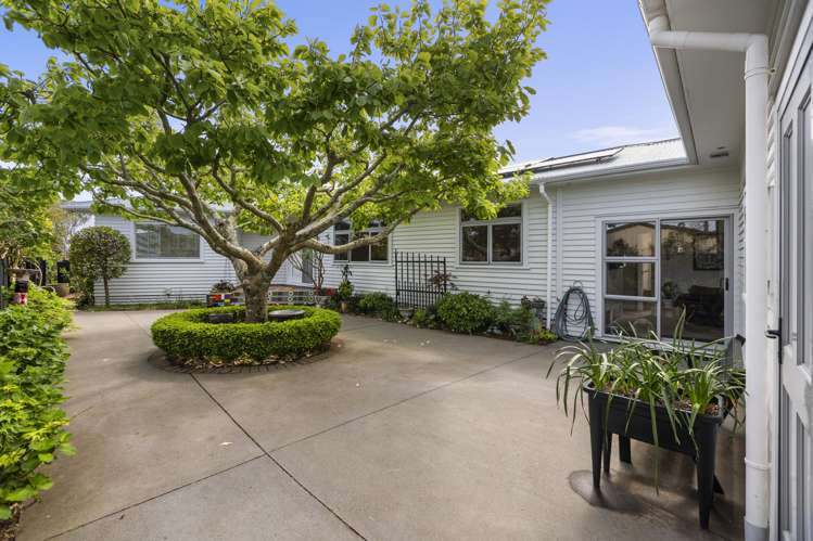 8 Blenheim Place Vogeltown_26