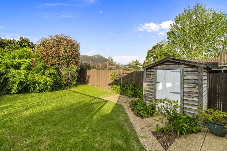 27 Saxon Street Waterview_30