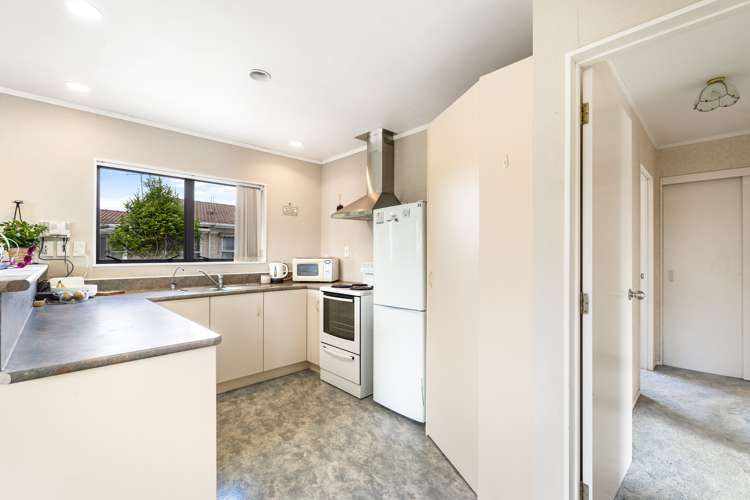 129 Kamo Road Kensington_7