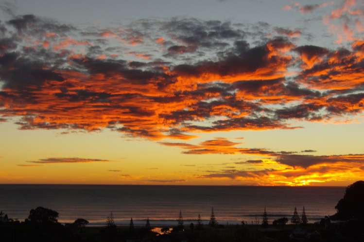 124 Tuna Place Onemana_10