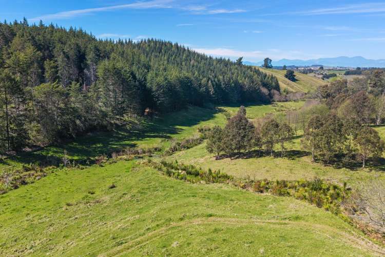 370 Rosedale Road Upper Moutere_43