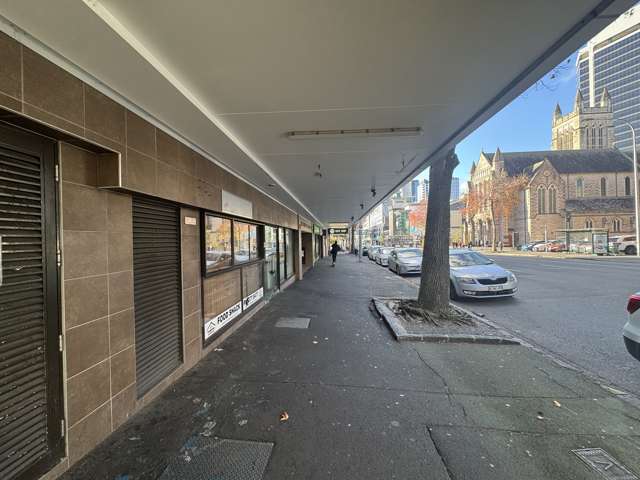 137 Hobson St Auckland Central_2