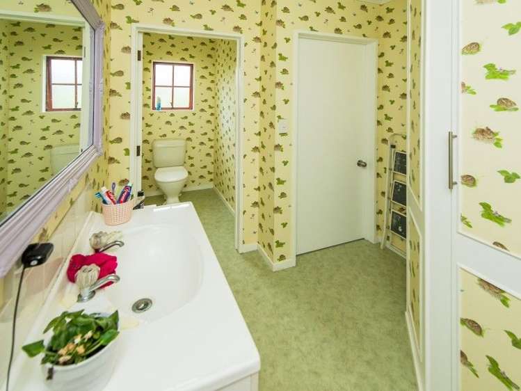 161a No 3 Line Wanganui East_26