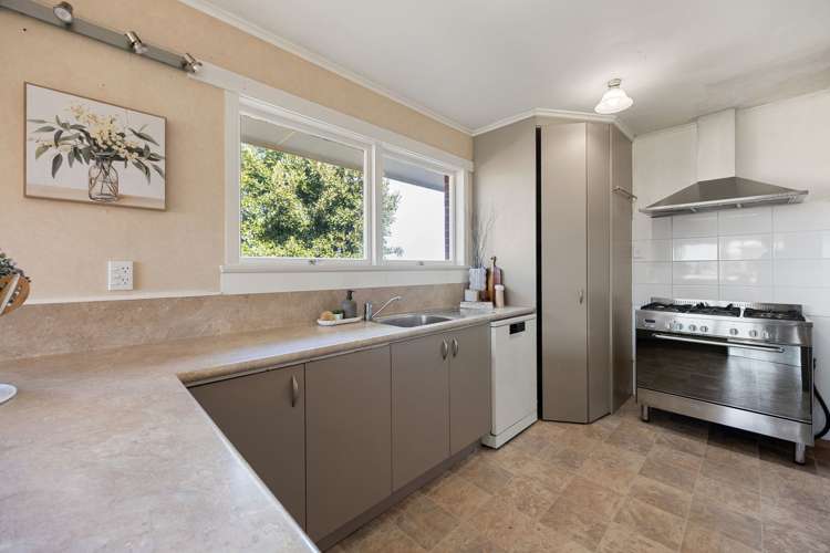 229 Fairview Road Road Te Awamutu_9