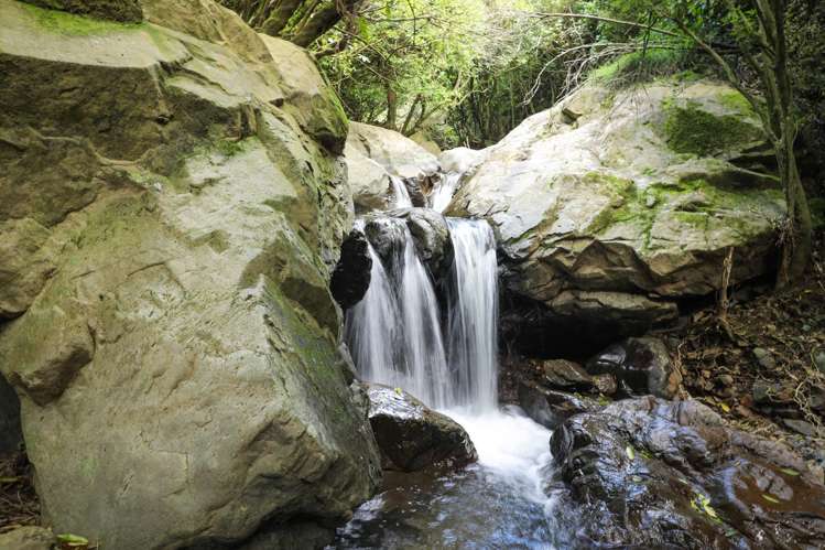 106 Harrison Hill Road Aokautere_12