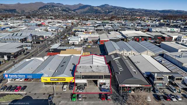154 Carlyle Street Sydenham_3