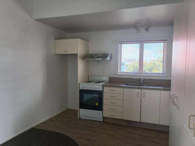 120 Anderson Street Morrinsville_3