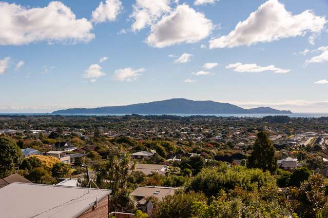 43 Kotare Street Waikanae_1