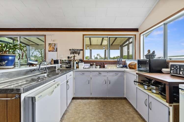 102 Waerenga Road Te Kauwhata_6