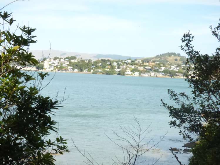 6 Ryan Road Te Akau_15