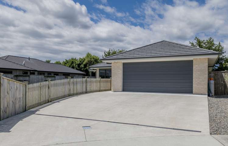 34 Weld Street Levin_16