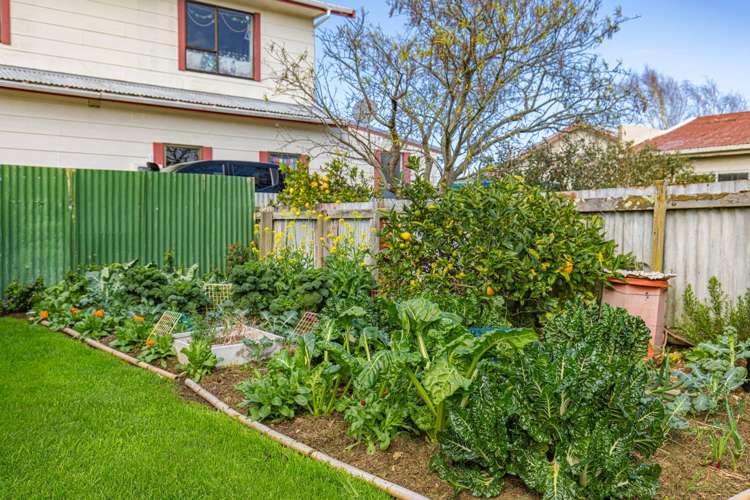 22 Kepa Street Whanganui East_4