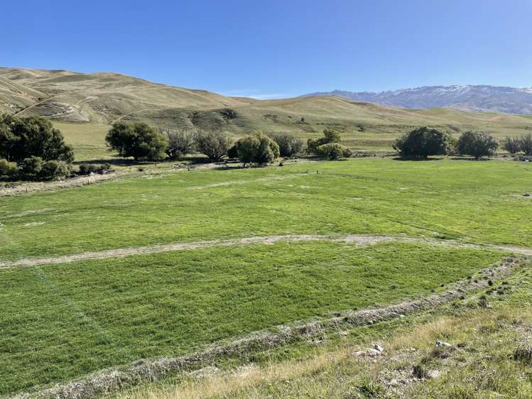 Kinney Road Chatto Creek_19