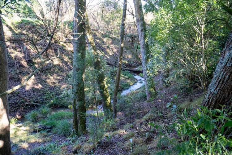 27A Kew Place Tamahere_20