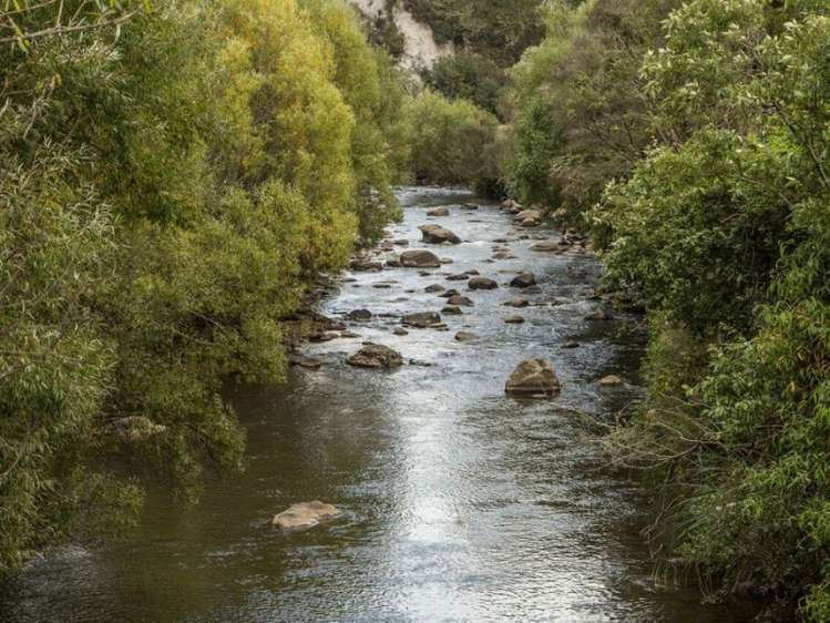 60 Bullians Road Owhango_23