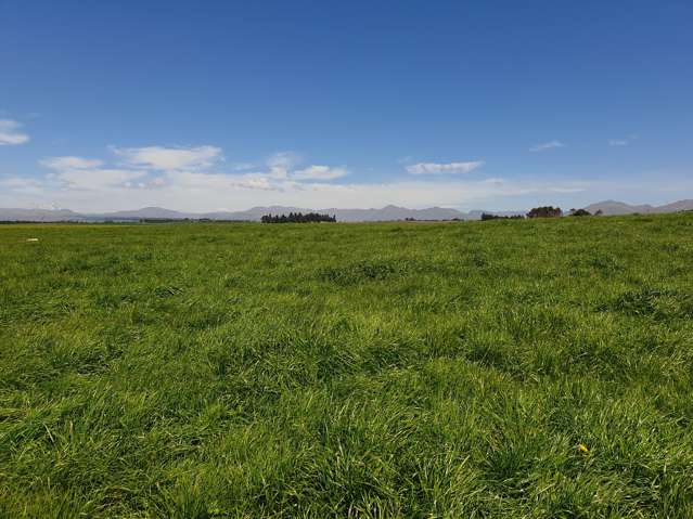 480 Island Cliff-Duntroon Road Island Cliff_3