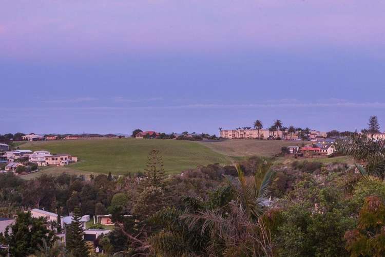 84 Coates Avenue Orakei_18