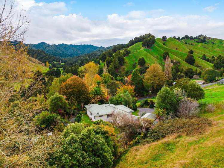 1069 Whanganui River Road_0