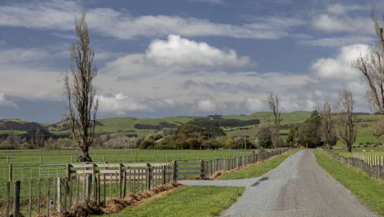 Chishams Road Martinborough_14