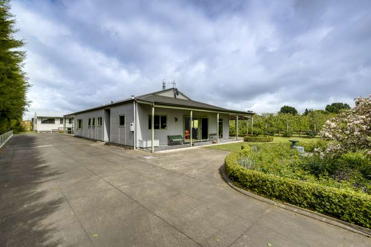 39 Algernon Road Longlands_11