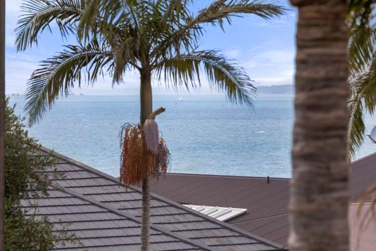 15 Hamana Street Narrow Neck_9