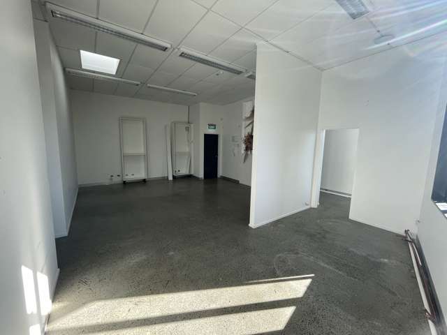 483 Richmond Road Grey Lynn_4