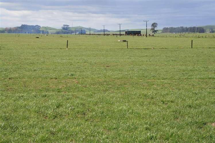 173 Anderson Road Eltham_16