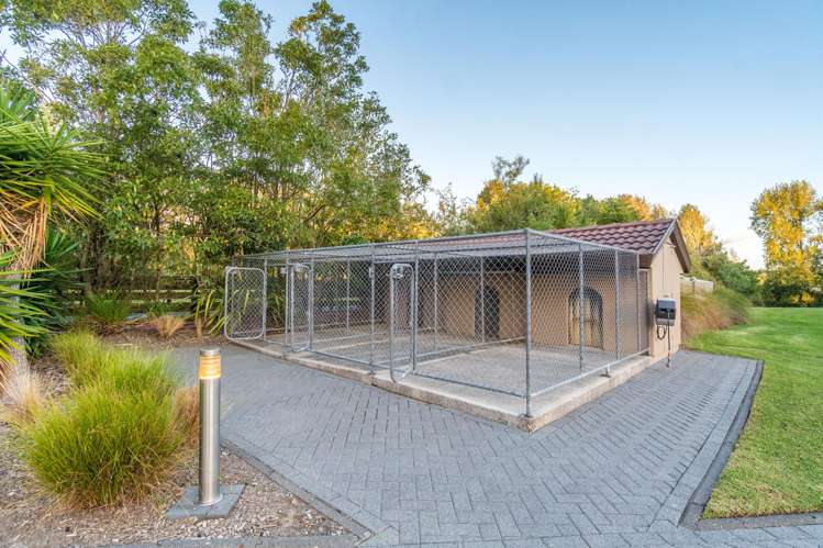 55 Postman Road Dairy Flat_15