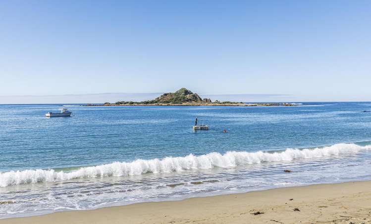 9/52 High Street Island Bay_14