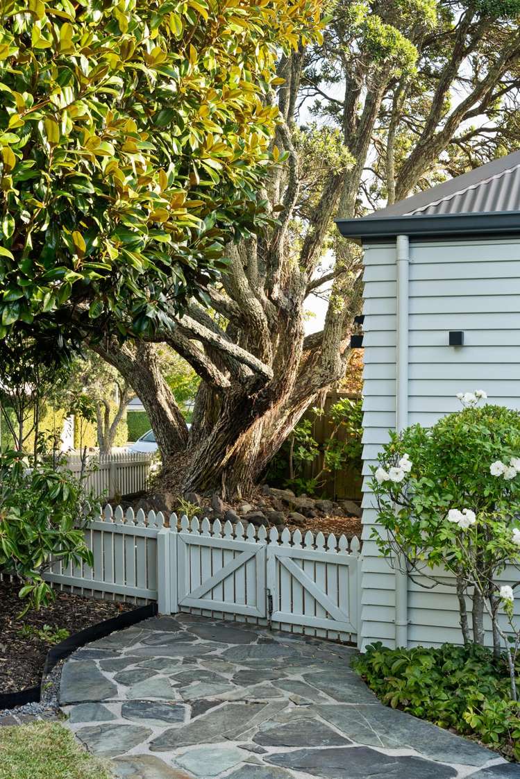 827 Riddell Road St Heliers_29