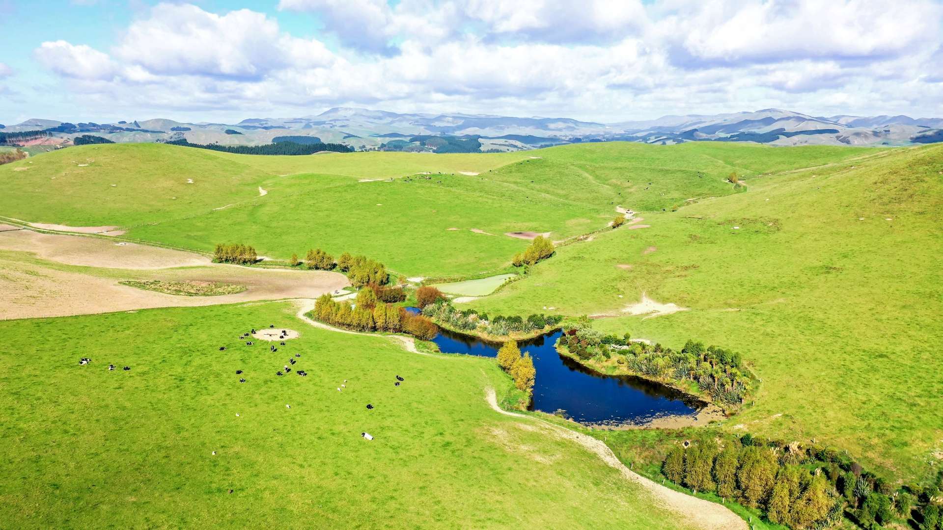 49 Tuturewa Road Rangitikei Surrounds_0