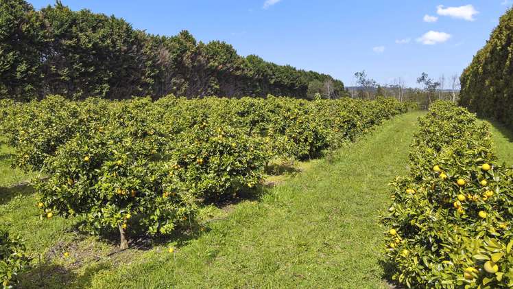 908 Te Ahu Ahu Road Waimate North_11