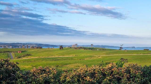 181 Vaughans Road Okura_3