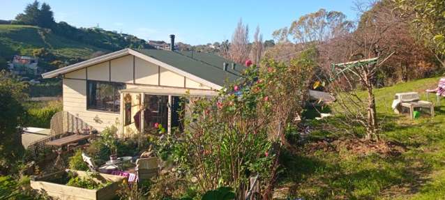 42 Jessop Street South Hill_2