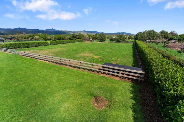 10 Oriwa Lane Levin_22