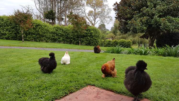 91 Waiomou Road Hauraki Surrounds_21