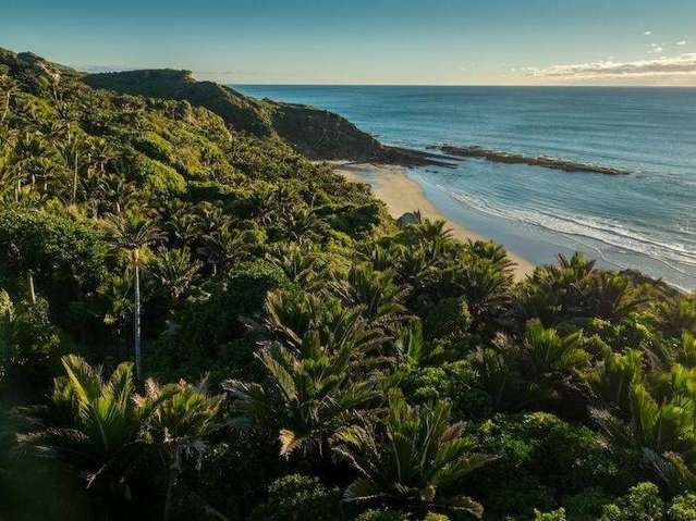 336 Te Hapu Road Kahurangi National Park_4